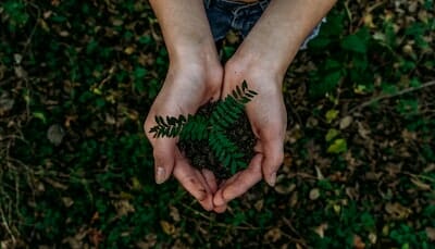 50 Years Of Earth Day Teaching Eco Friendly Habits To Homeschoolers.jpeg